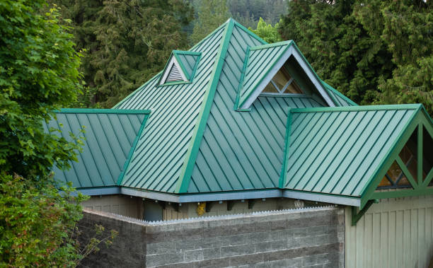 Best Roof Moss and Algae Removal  in Allison Rk, PA