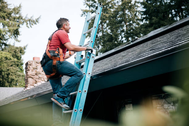 Best Roof Insulation Installation  in Allison Rk, PA
